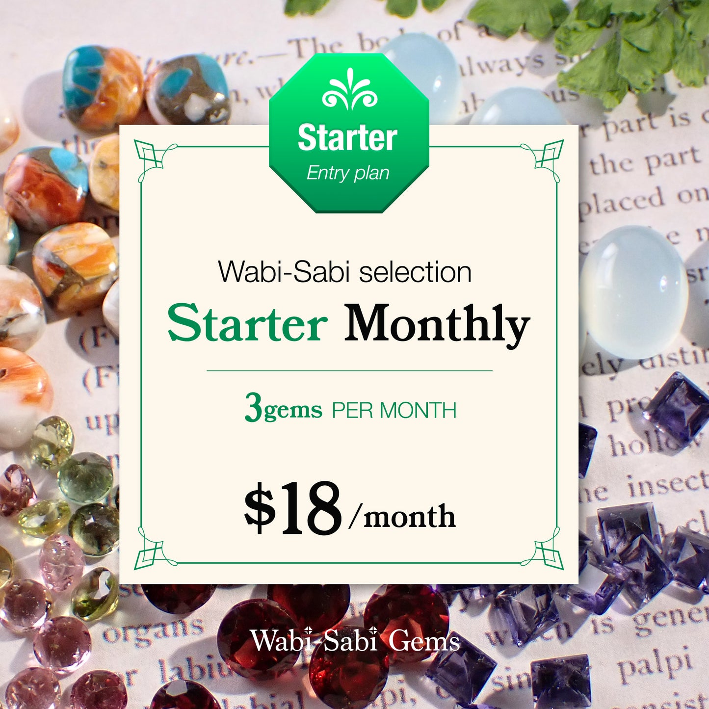 WabiSabi Gems - Starter Monthly
